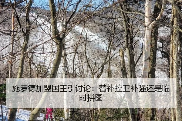 施罗德加盟国王引讨论：替补控卫补强还是临时拼图